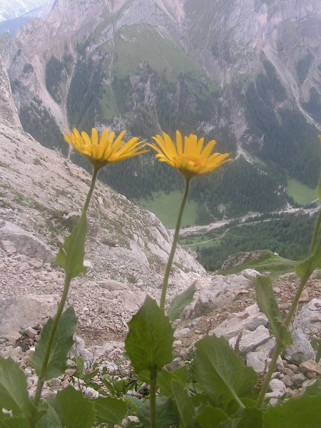 FERRATA FINANZIERI NA COLLAZ 2713 M